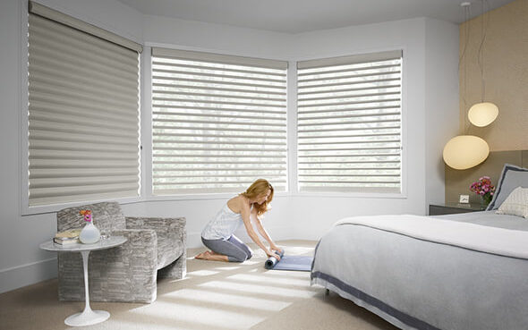 pirouette roman shade sheers translucent light control privacy window shading greenguard certified ultraglide powerview motorization